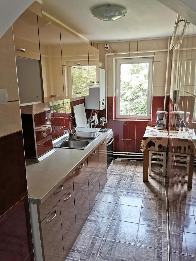 Confortable Cozy Apt Bukareszt Zewnętrze zdjęcie